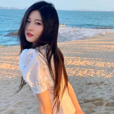 粉红火鹤